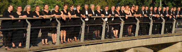 The Fionian Chamber Choir in Munke Mose, Odense (2016)